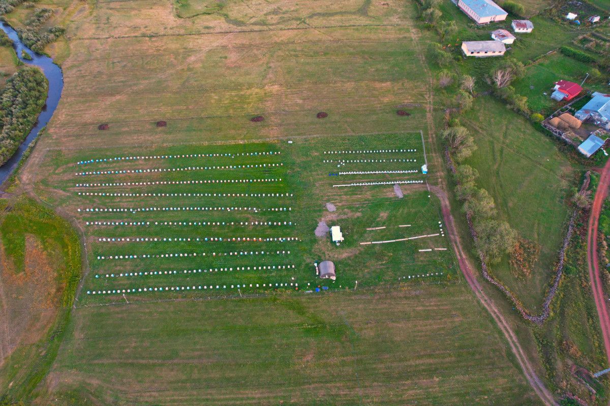 Arıcı Cüneyt Mostura'nın Yorumları
