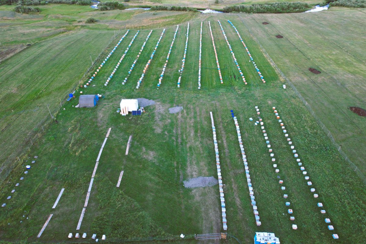 Ardahan Coğrafi İşaretli Bal Hasadı Başladı