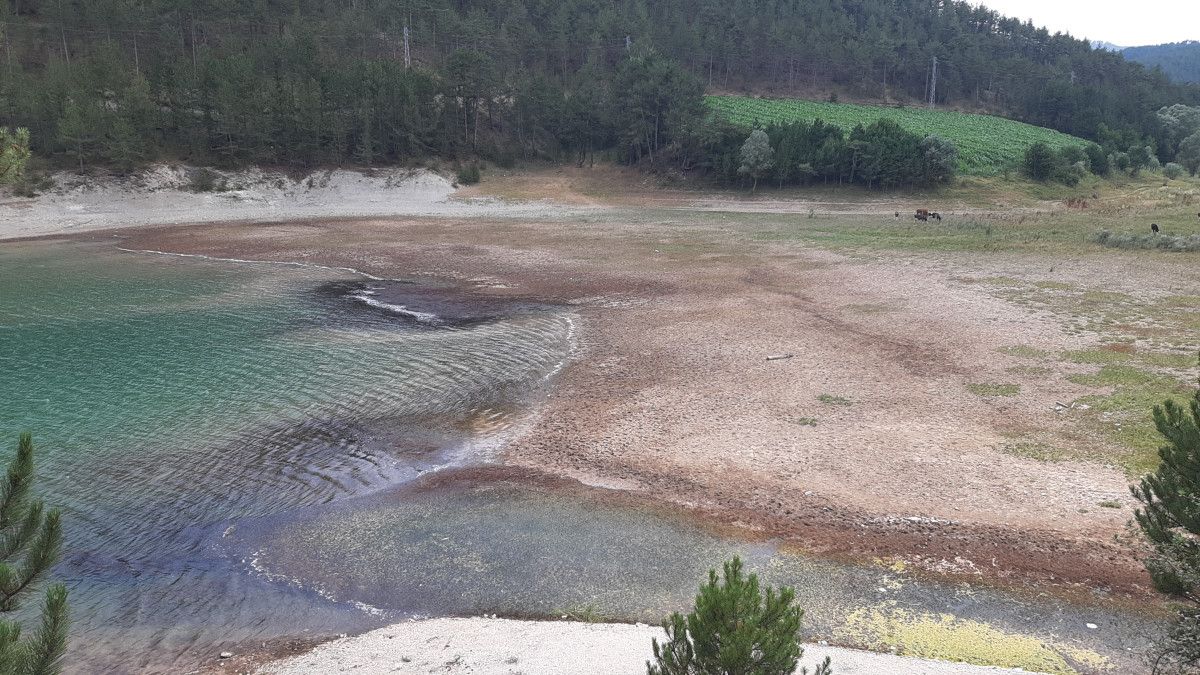 Aşırı Sıcaklar Boluyu Da Vurdu: Sünnet Gölünde Sular Çekildi ve Yaşananlar