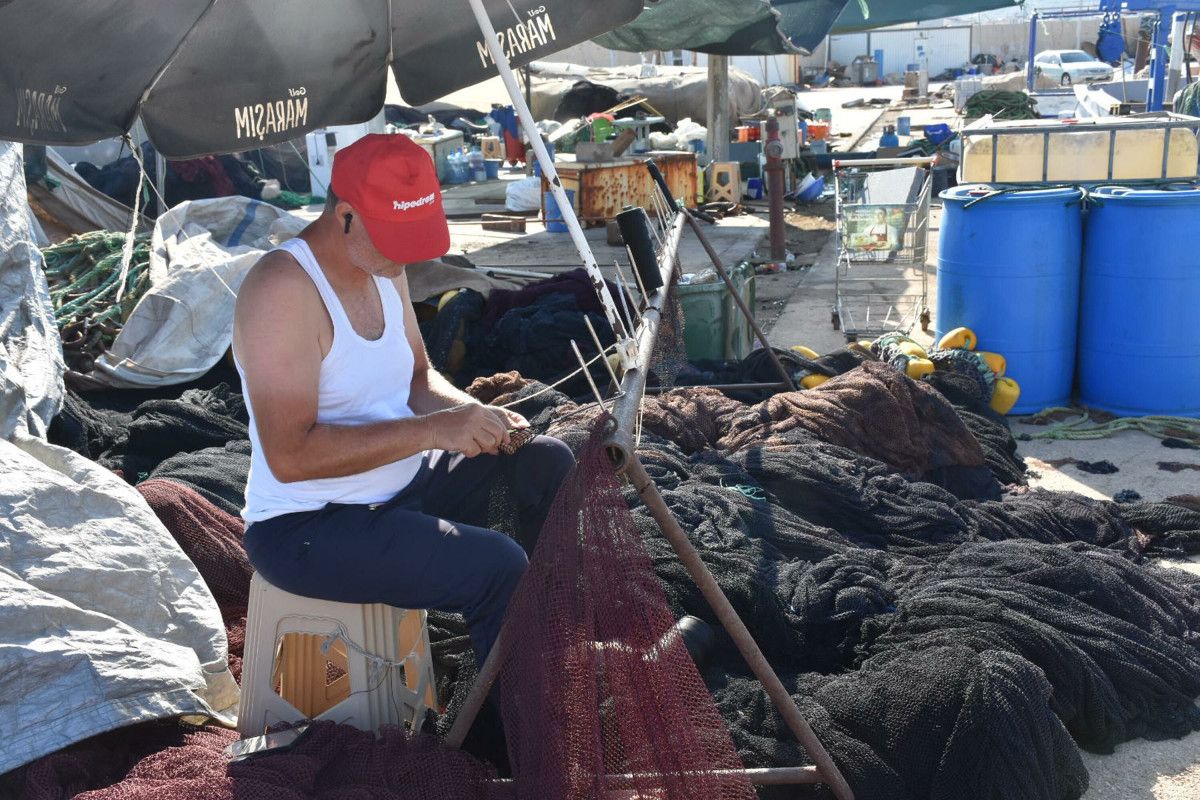 Deniz Suyunun Yüksek Sıcaklığı Balıkçıları Endişelendiriyor
