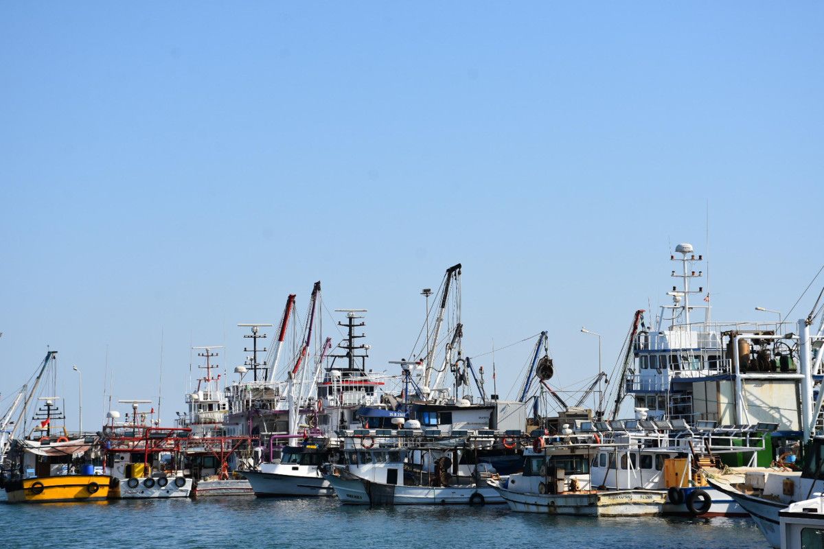 Balıkçıların 1 Eylül Üzerine Yaptığı Hazırlıklar Devam Ediyor