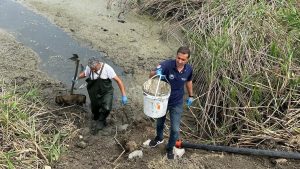 Boluda Çırpınan Onlarca Balık Kurtarılıyor