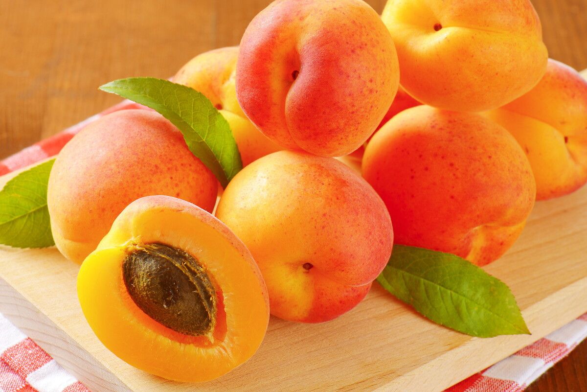 Elma Çekirdeği ve Riskleri