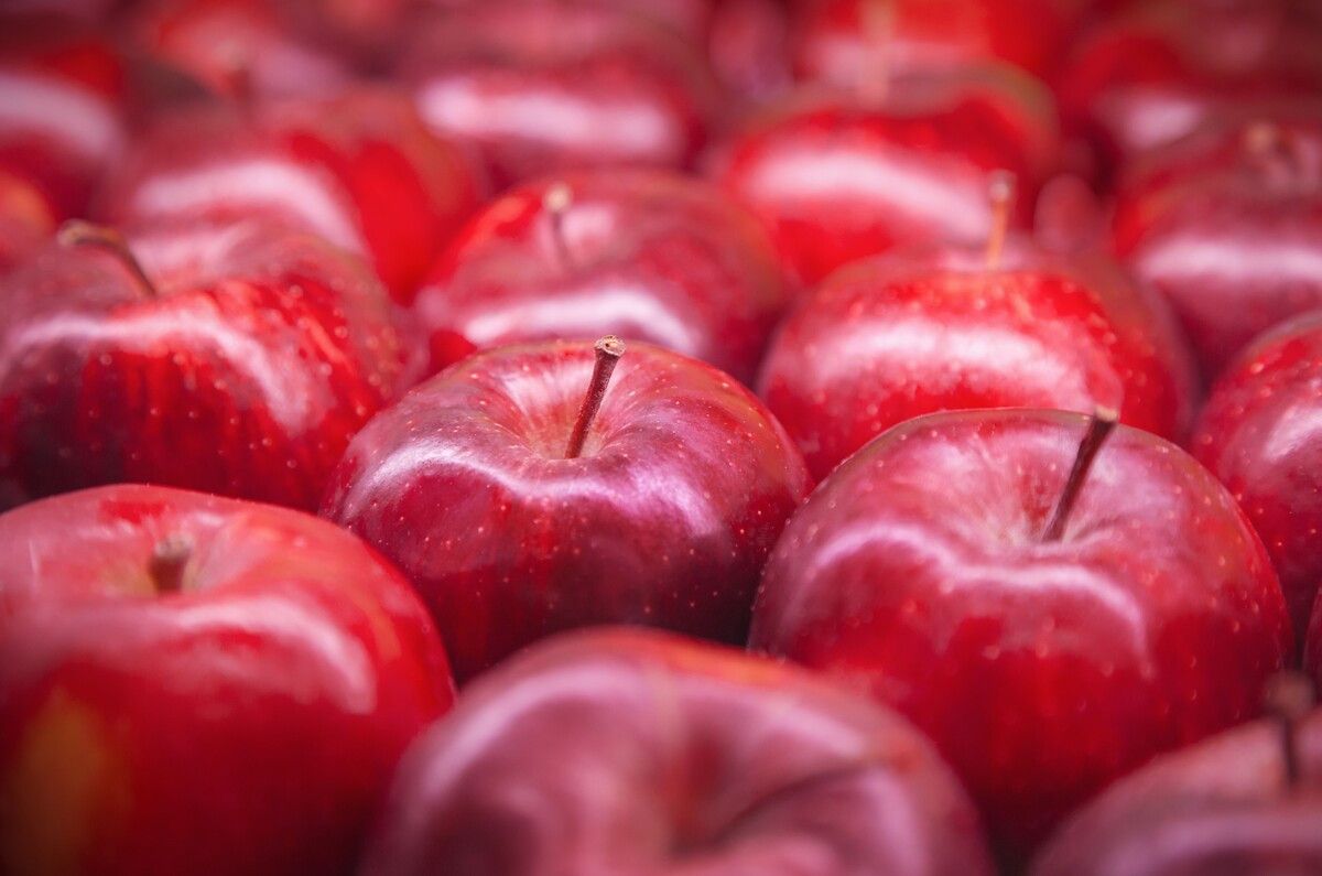 Erik, Şeftali ve Vişne Çekirdekleri