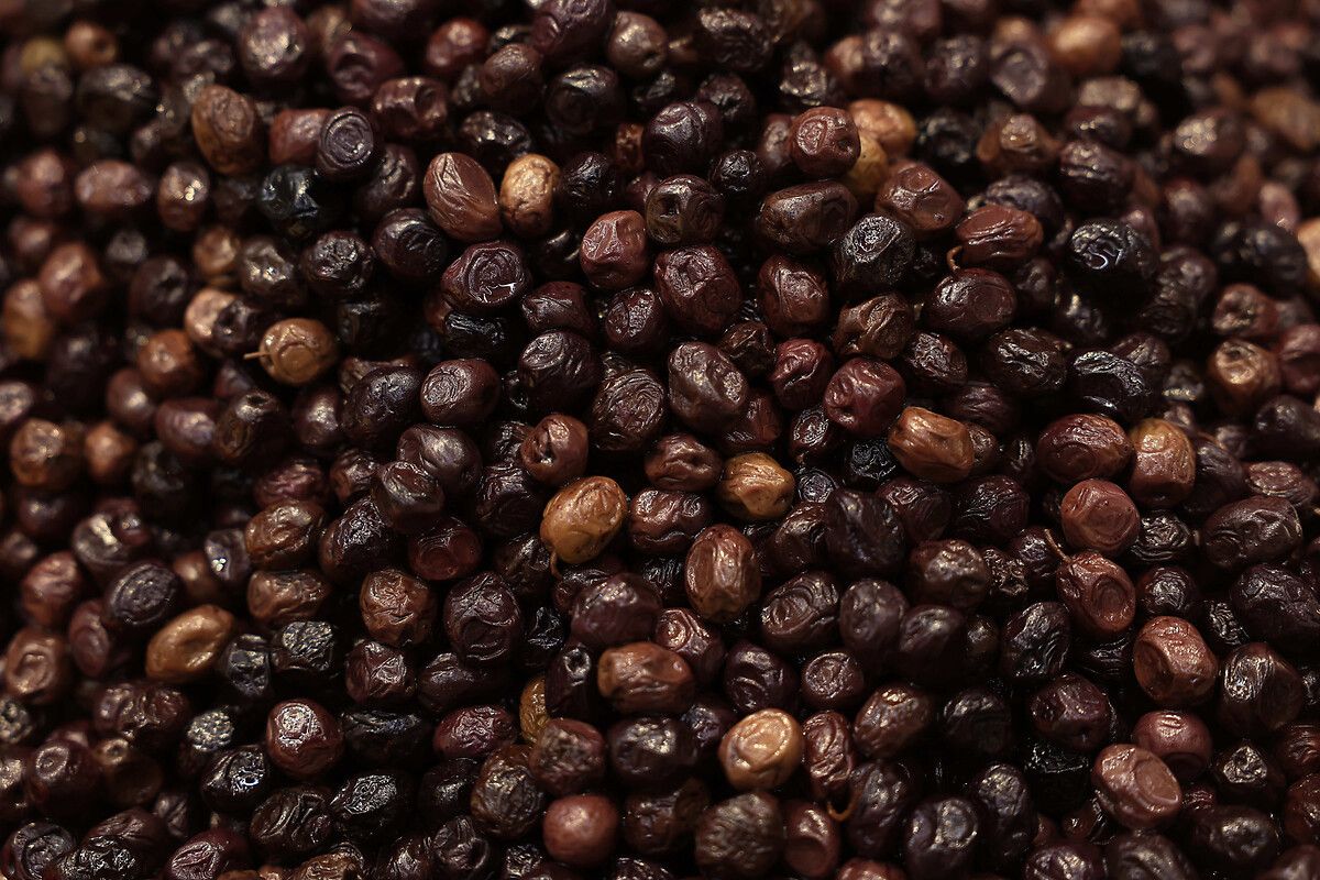 Zehrin Şiddeti ve Sonuçlar