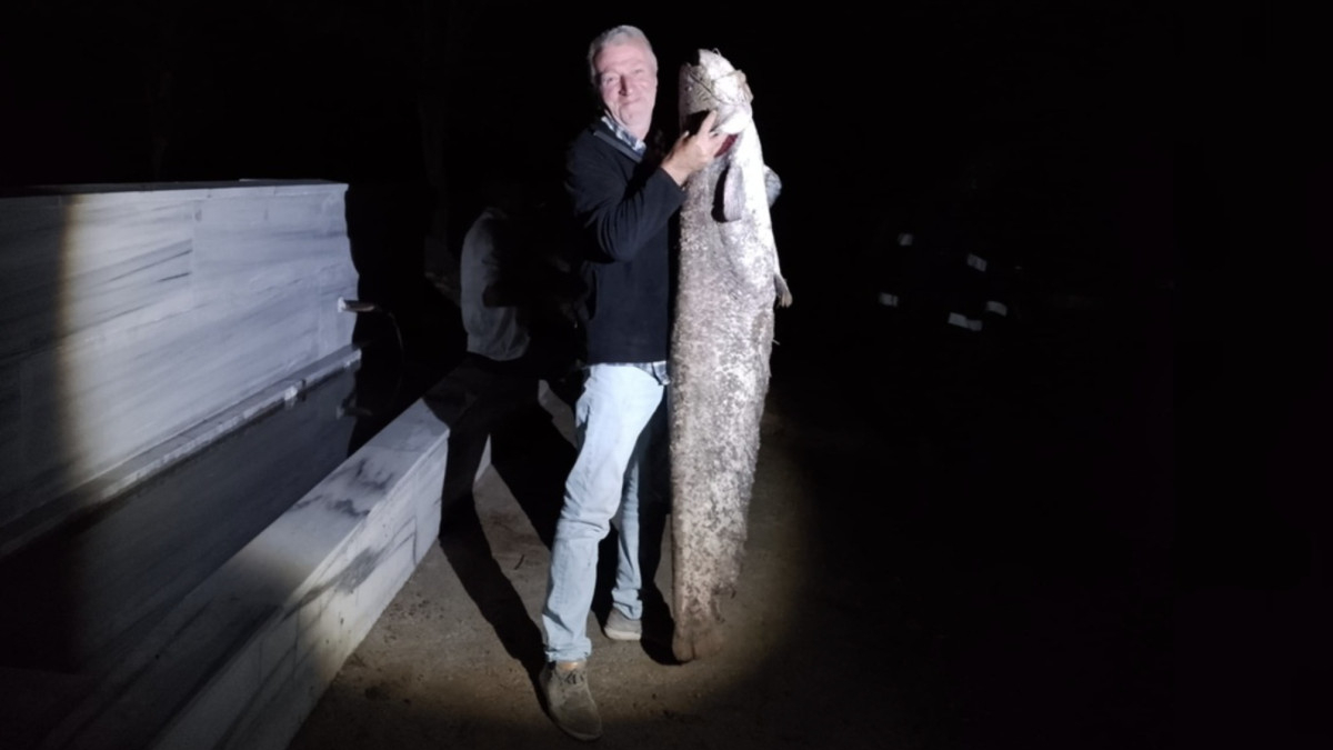 Bursa'da Barajda Oltasına Takılan Balık 40 Kilo Ağırlığında