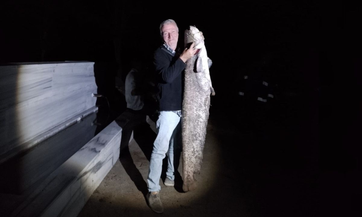 Bursa'da Barajda Oltasına Takılan Balık 40 Kilo Ağırlığında