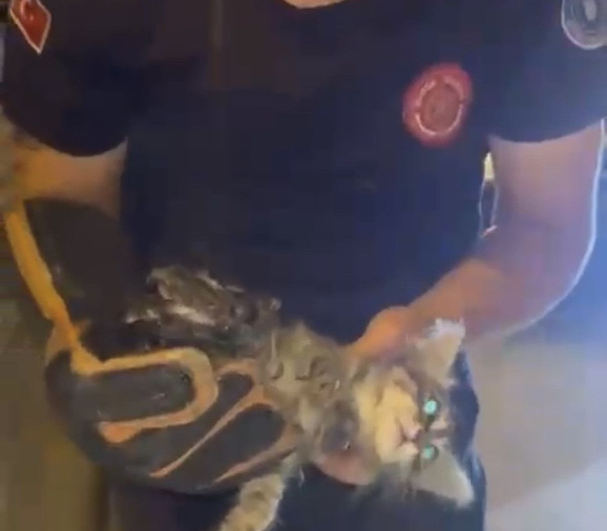 Bursa'da Benzersiz Bir Kedi Kurtarma Hikayesi