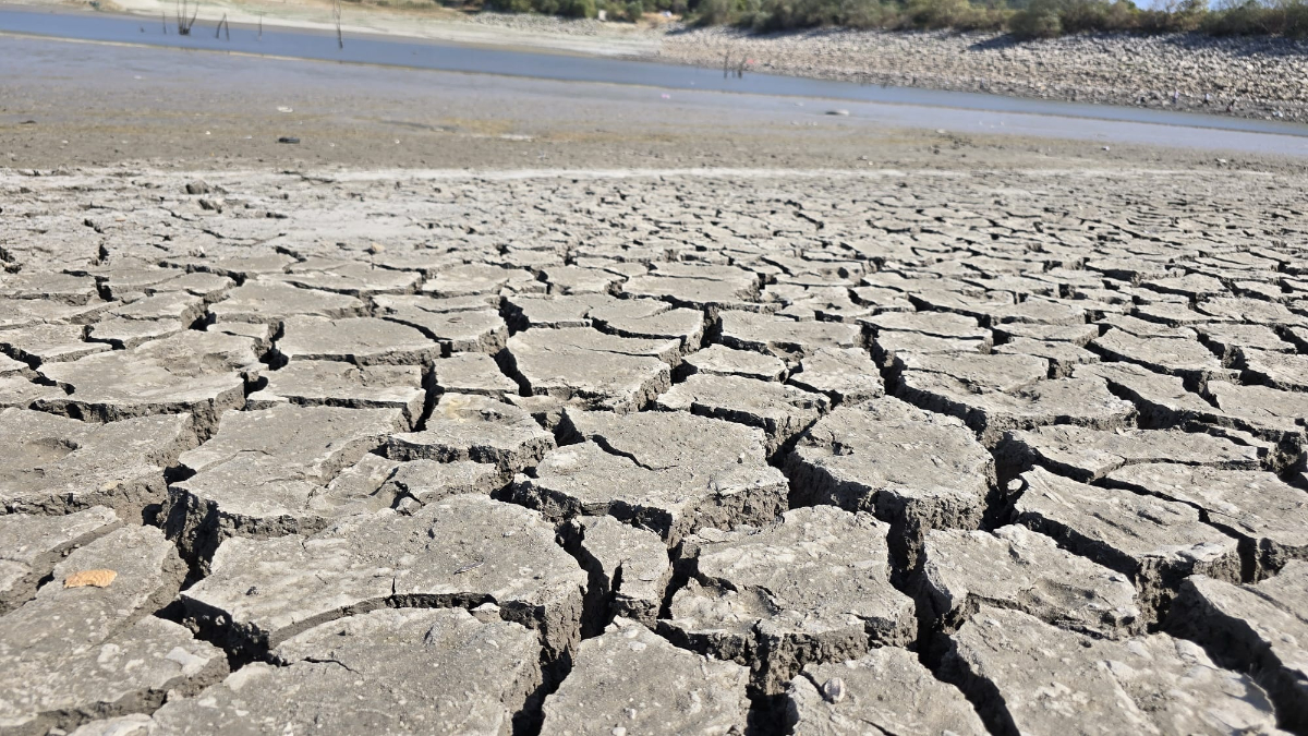 Bursa'daki 42 Yıllık Çınarlı Göletinde Kuruma Tehlikesi! Balıklar Kıyıya Vurdu
