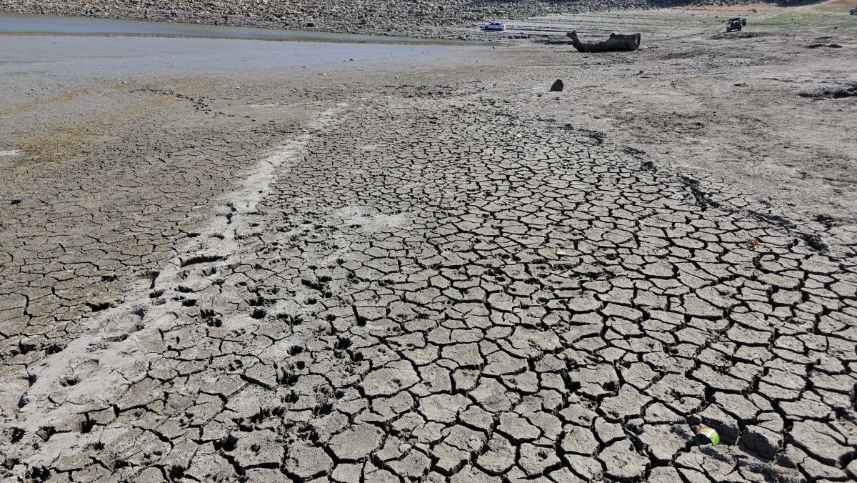 Bursa'daki 42 Yıllık Çınarlı Göletinde Kuruma Tehlikesi! Balıklar Kıyıya Vurdu