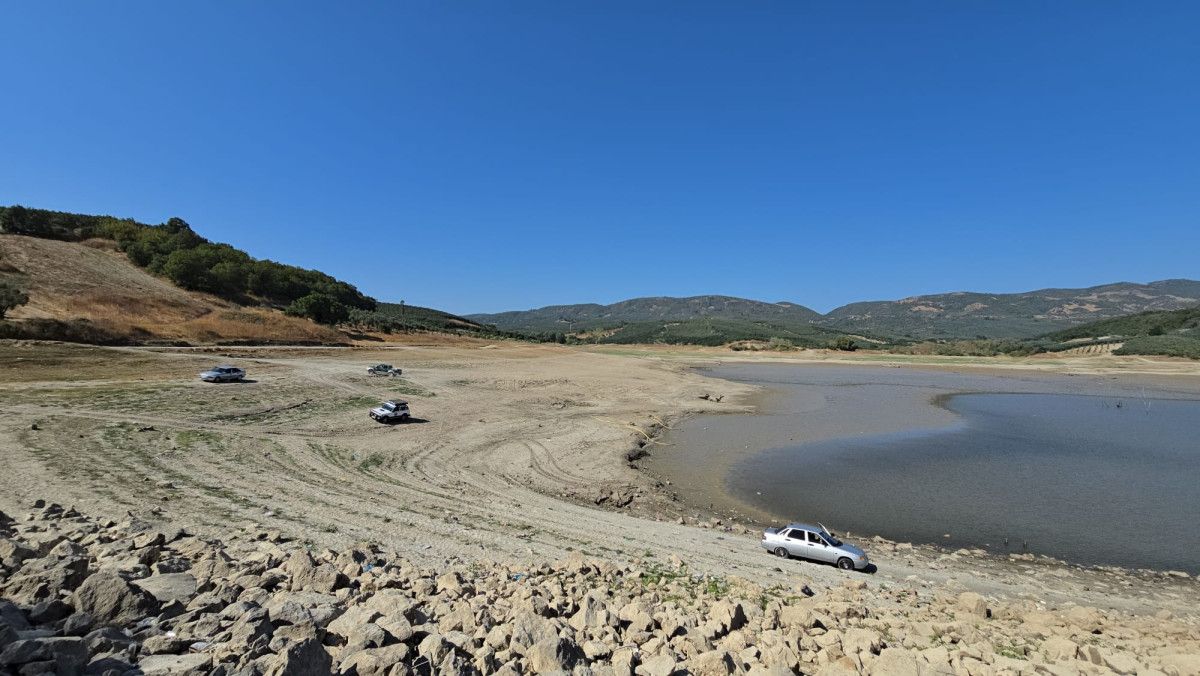 Bursa'daki 42 Yıllık Çınarlı Göletinde Kuruma Tehlikesi! Balıklar Kıyıya Vurdu