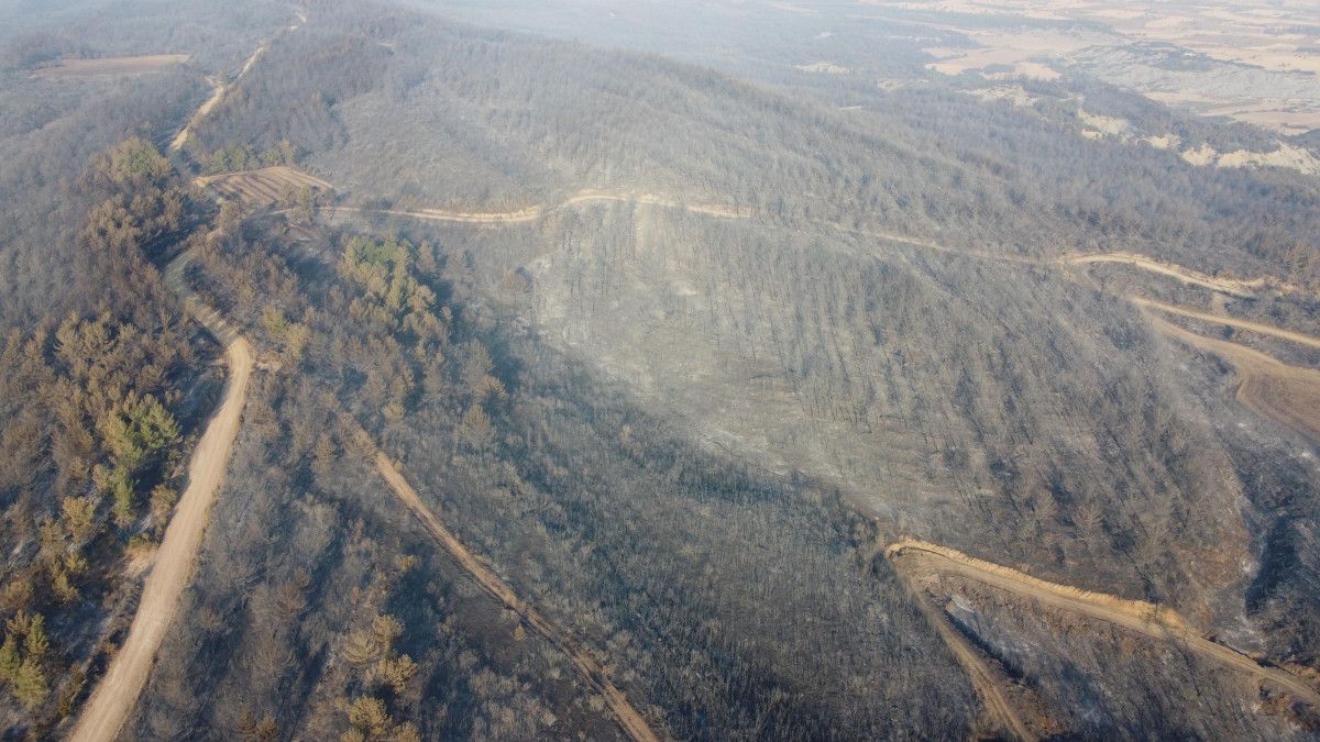 Çanakkale Orman Yangını Sonrası Hasar Gören Alanlar Görüntülendi