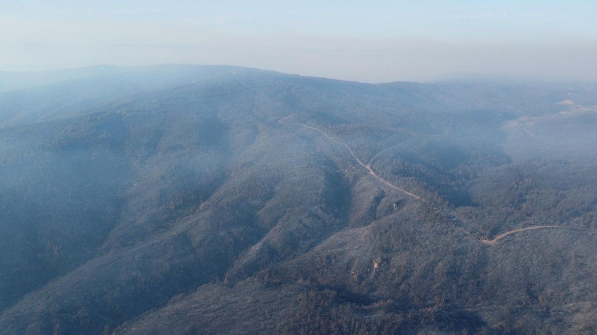 Çanakkale Orman Yangını Sonrası Hasar Gören Alanlar Görüntülendi