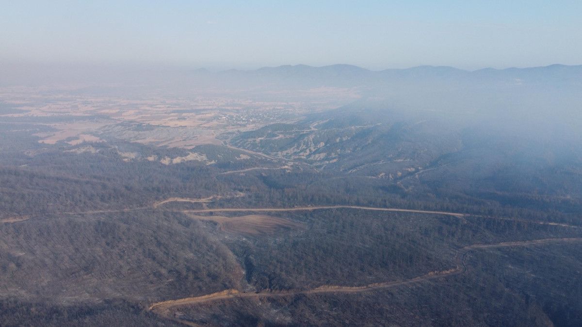 Çanakkale Orman Yangını Sonrası Hasar Gören Alanlar Görüntülendi
