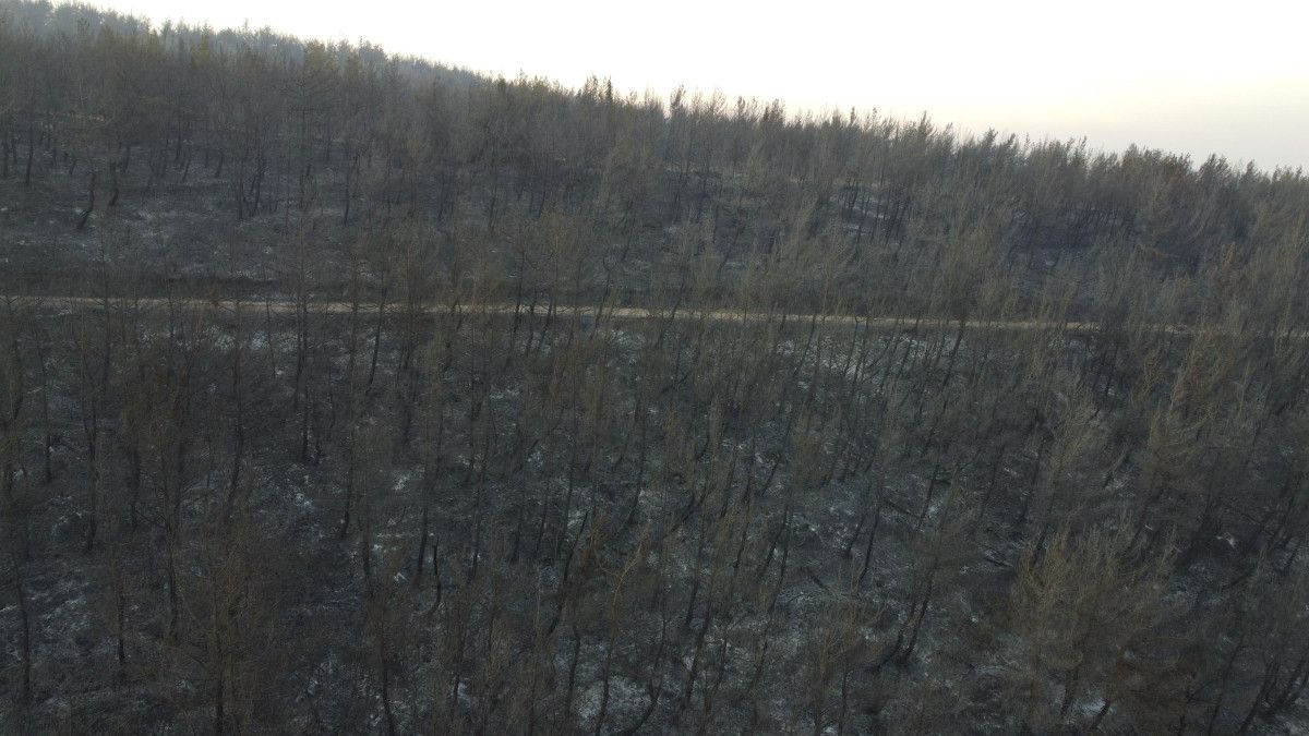 Çanakkale Orman Yangını Sonrası Hasar Gören Alanlar Görüntülendi