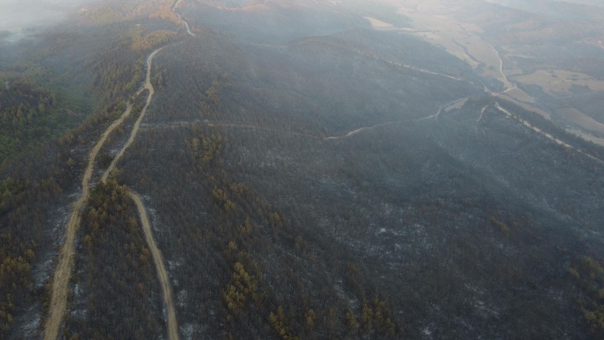Çanakkale Orman Yangını Sonrası Hasar Gören Alanlar Görüntülendi
