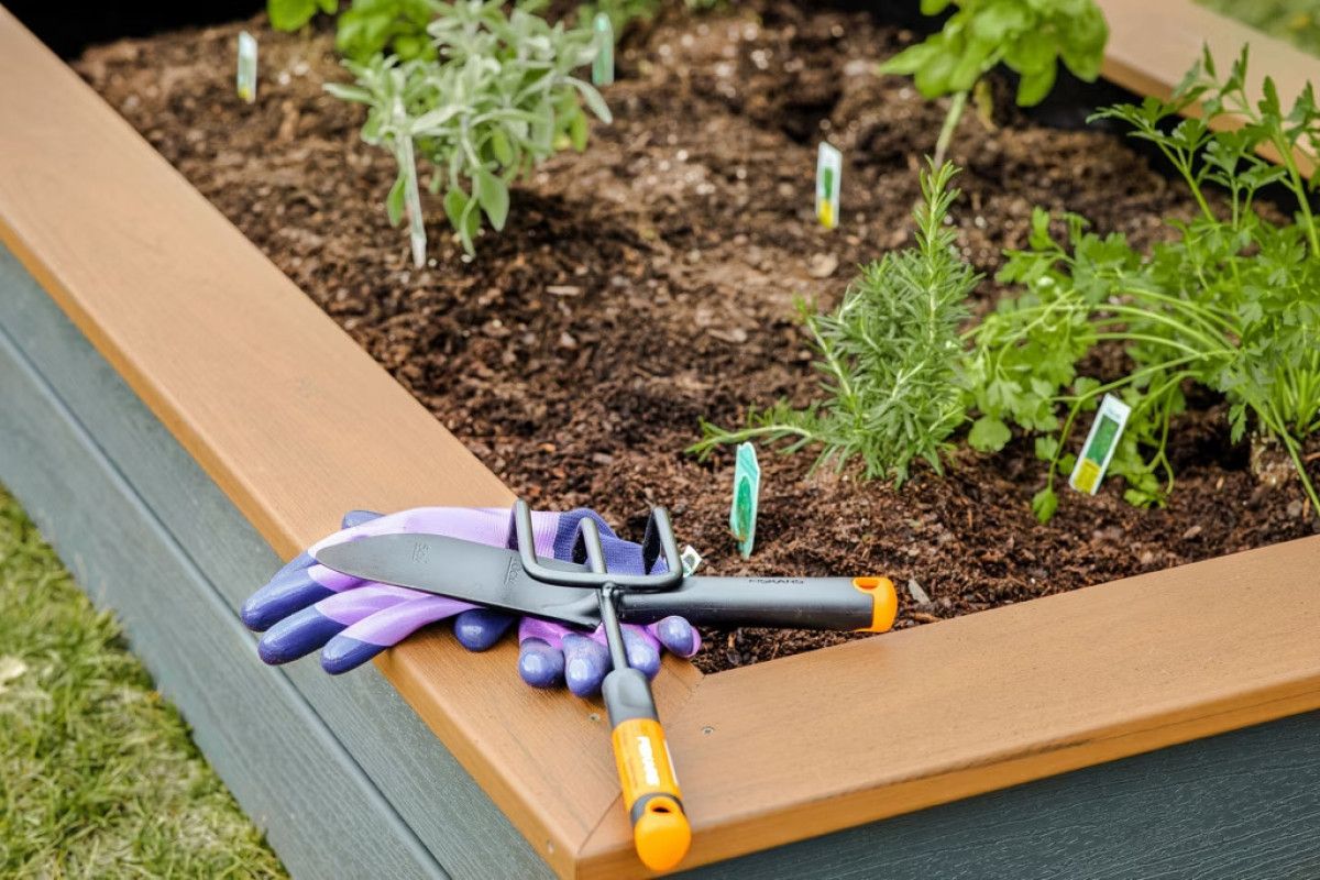 SÜMÜKLÜ BÖCEKLER İLE MÜCADELEDE DOĞAL TUZAK