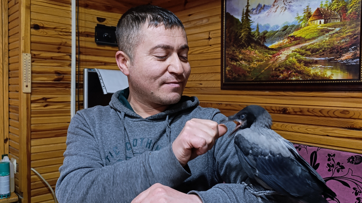 Karga, Parkın Sevimli Maskotu Oldu