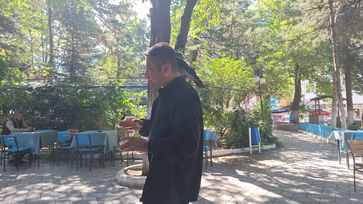 Çorum'da Kurtarılan Karga Mahallenin Sevilen Maskotu Oldu