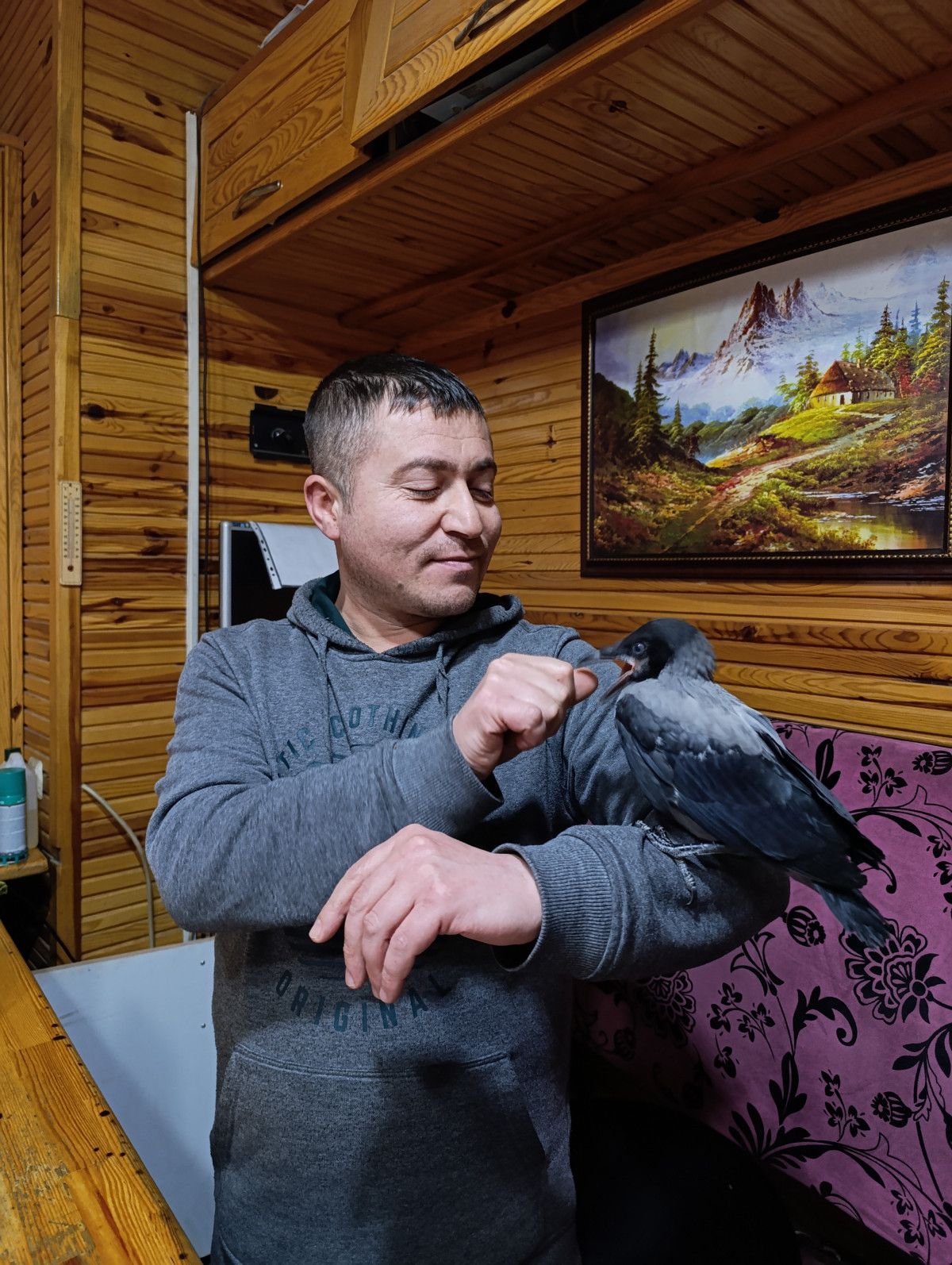 Çorum'da Kurtarılan Karga Mahallenin Sevilen Maskotu Oldu