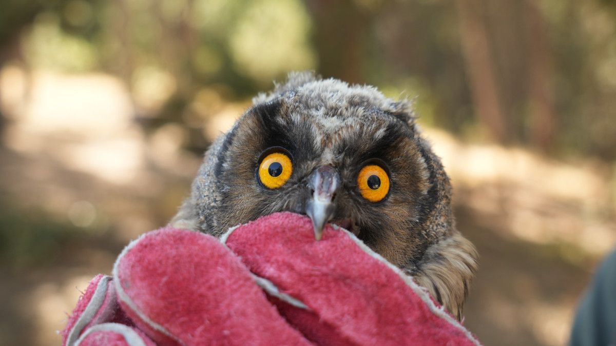 Doğa Dönüşümleri ve Koruma Çalışmaları