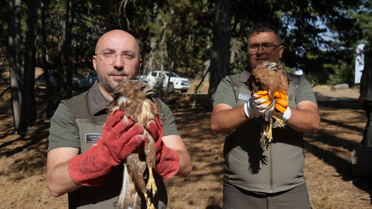 Doğaya Dönüş Yapan 76 Bin Hayvan: DKMP'nin Üstün Başarısı