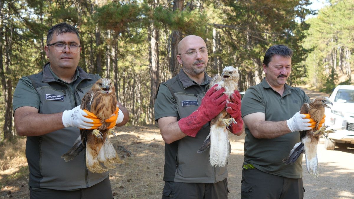Doğaya Dönüş Yapan 76 Bin Hayvan: DKMP'nin Üstün Başarısı