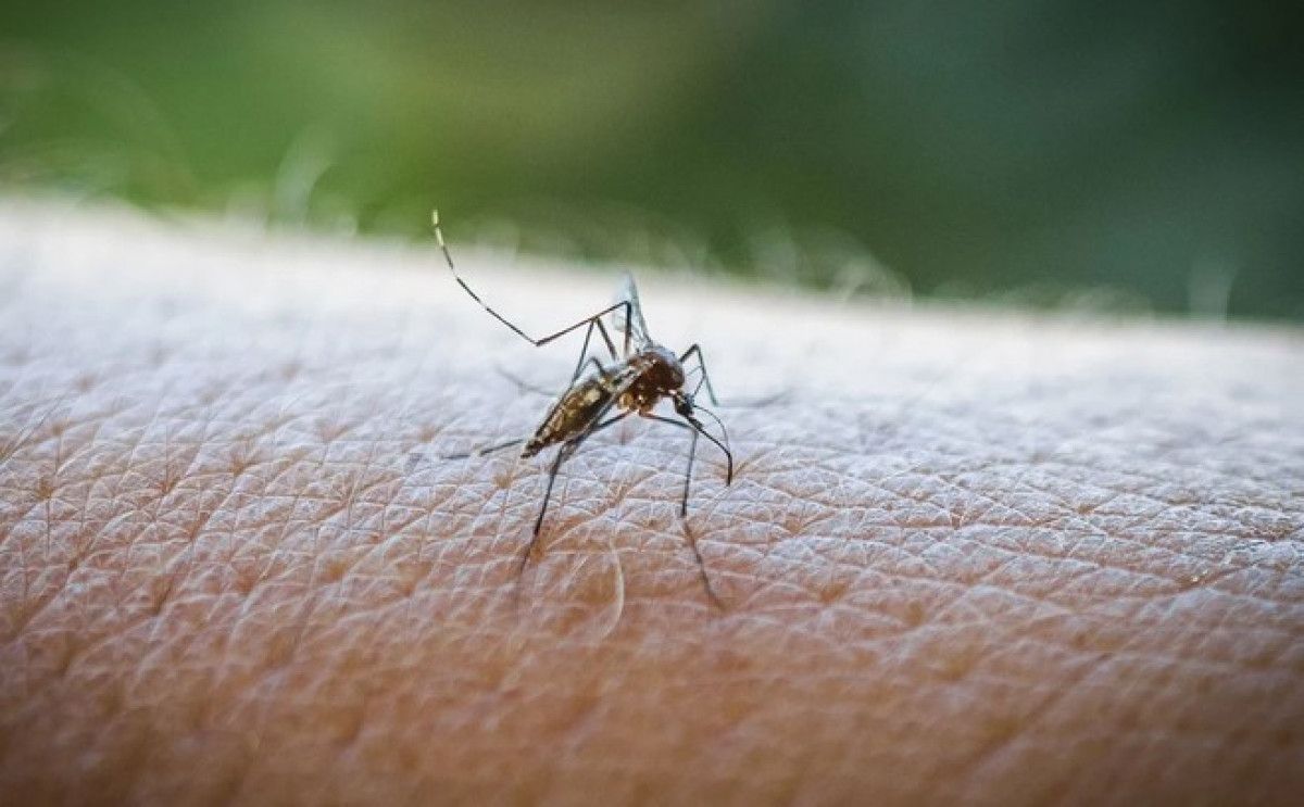 Dünyada Yaygınlaşma ve Riskler