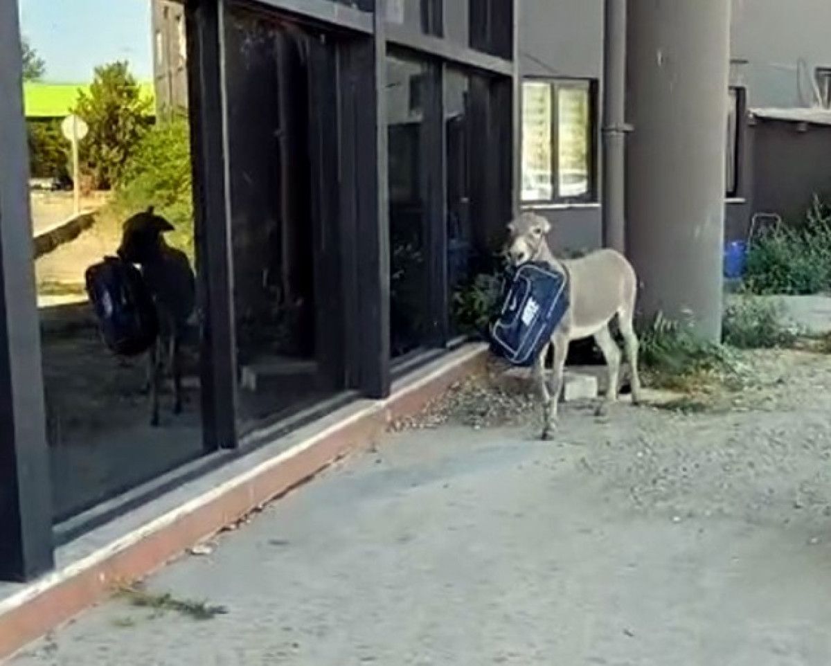 Edirne Şehirlerarası Otobüs Terminalinde Taksi Esnafının Sevecen Yaklaşımı