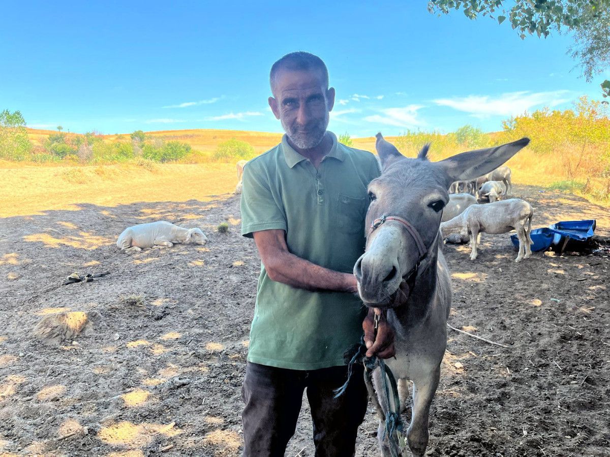 Sahibinden Sevinçli Haber ve Eşeğin Durumu