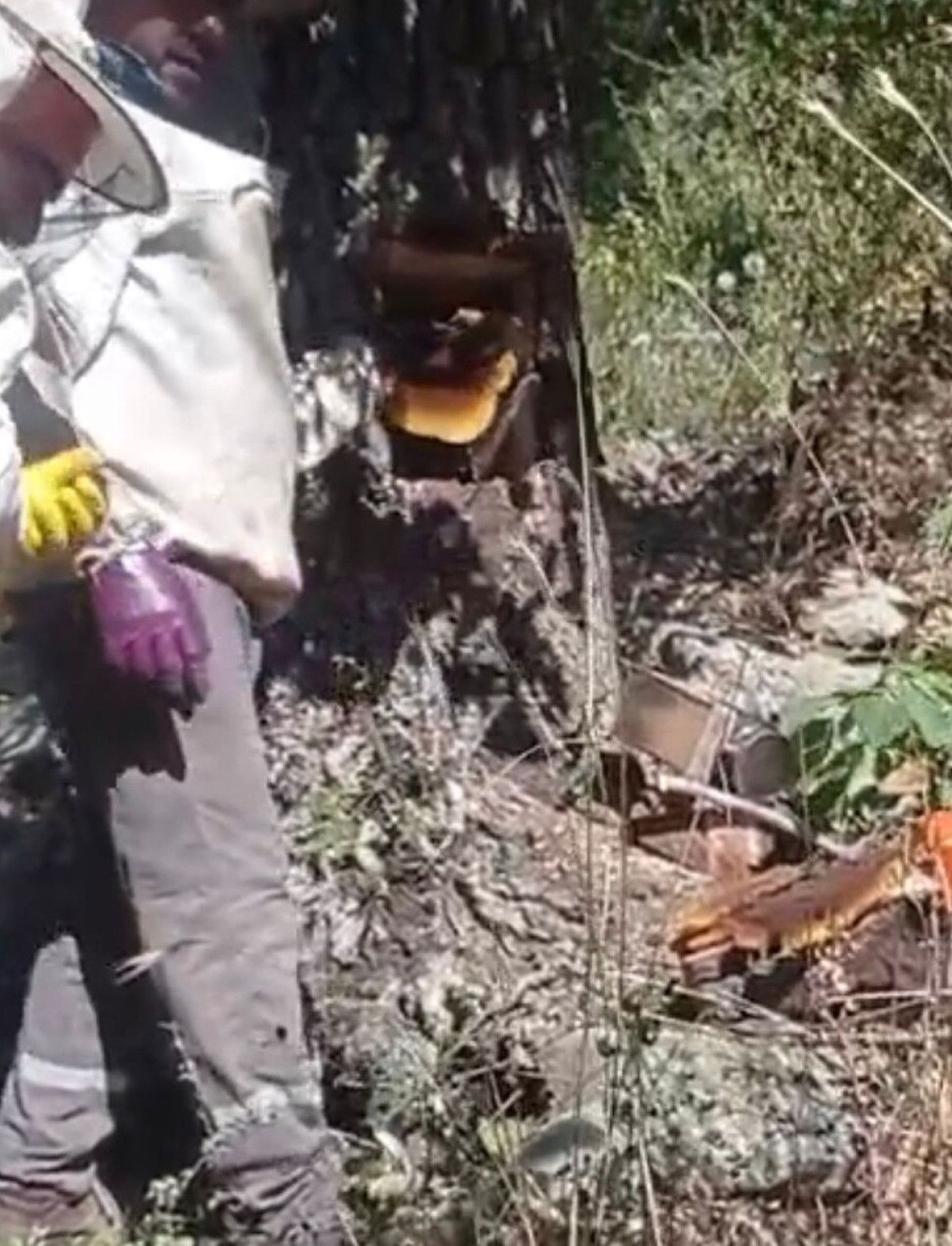 Yüksek Fiyata Rağmen Yoğun Talep Görüyor