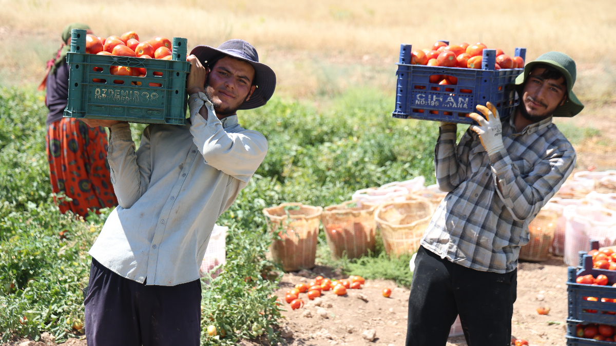 Fiyat Dışı Alternatif ve Çalışma Saatleri