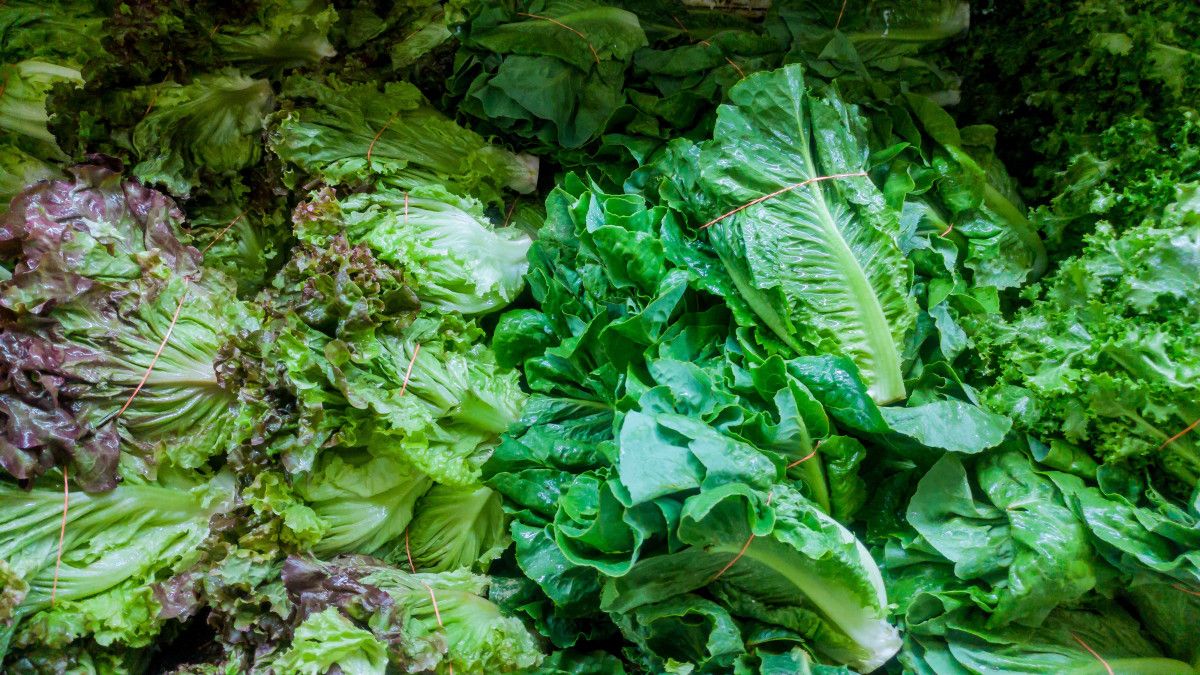 Emziren Anneler İçin Süt Miktarını Artıran Faydalı Besinler ve Tavsiyeler