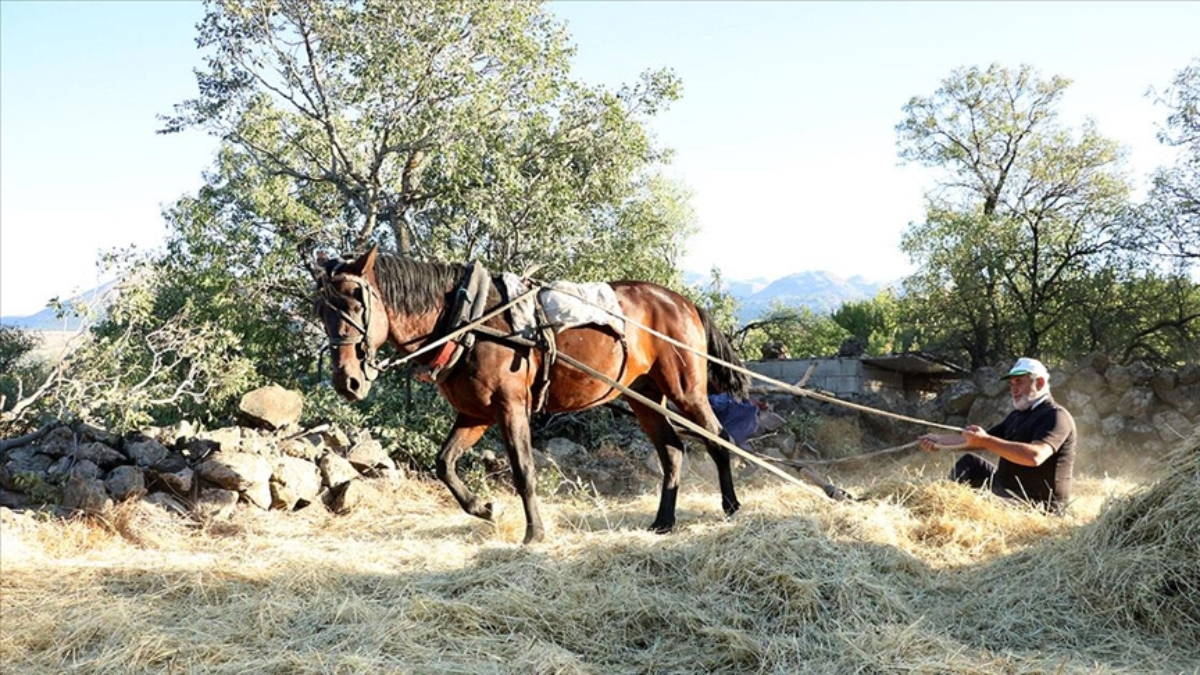 Hacılar ilçesinde, çocukluk yıllarındaki düven geleneği yaşatılıyor