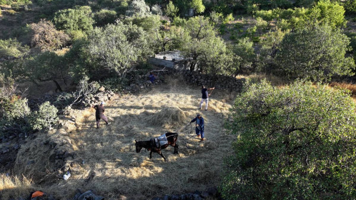 Geçmişin İzlerini Tarlada Yaşatıyorlar