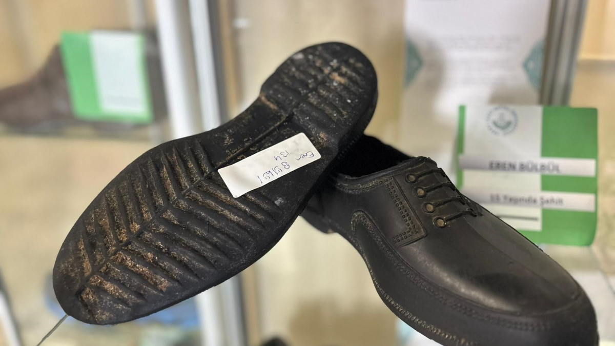 Fikrin Doğuşu ve Amaçlar