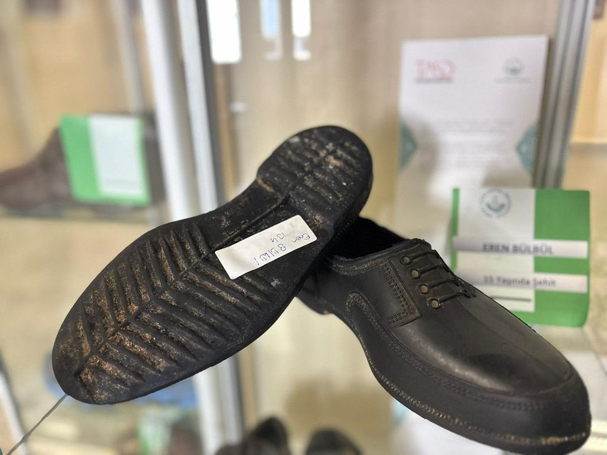 Müzedeki Çeşitlilik ve İnsan Hikayeleri