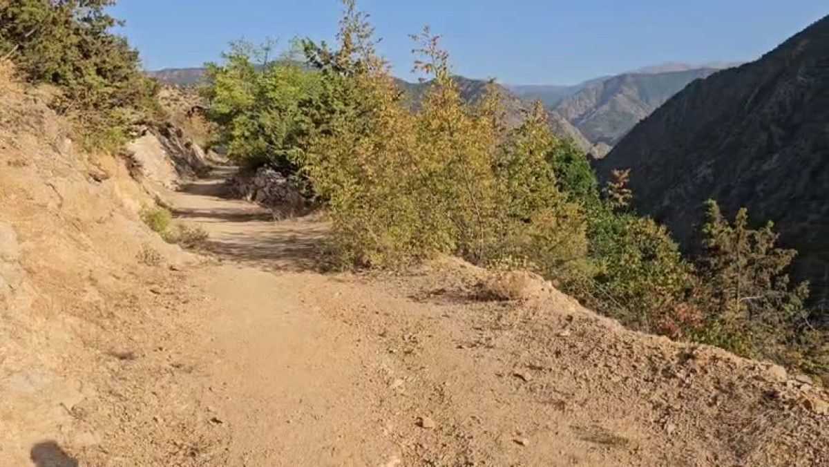 Güçlükler ve Talepler