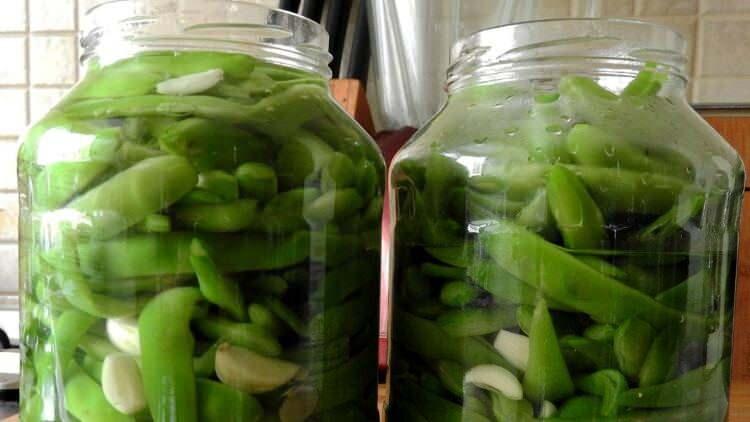Fasulye Turşusu Yapmanın En Kolay ve Pratik Yöntemi: İlk Kez Deneyenler İçin Basit Tarif