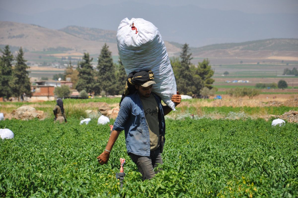 İhraç ve Piyasa Durumu