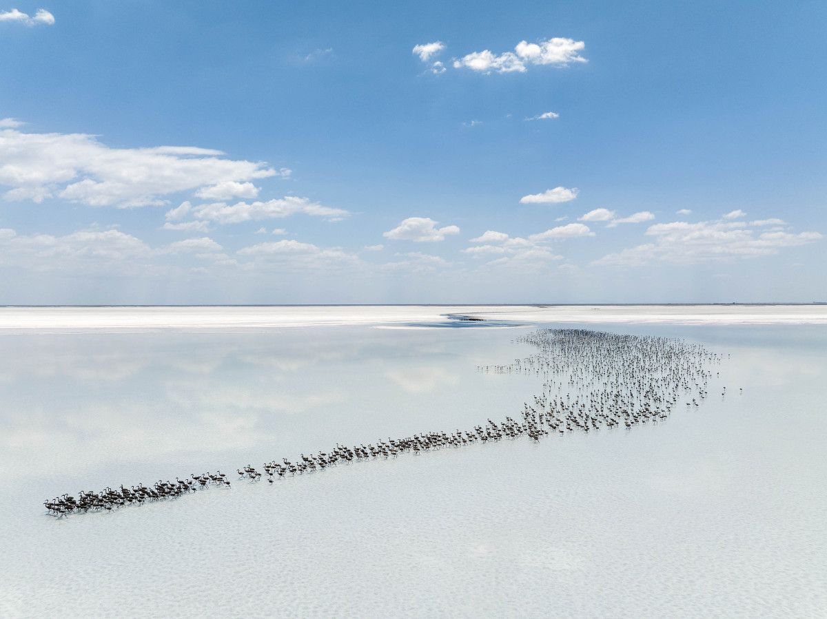 YARIŞMADA GÖRÜŞE ÇIKAN FOTOĞRAFLAR ARASINDAN SEÇİLDİ