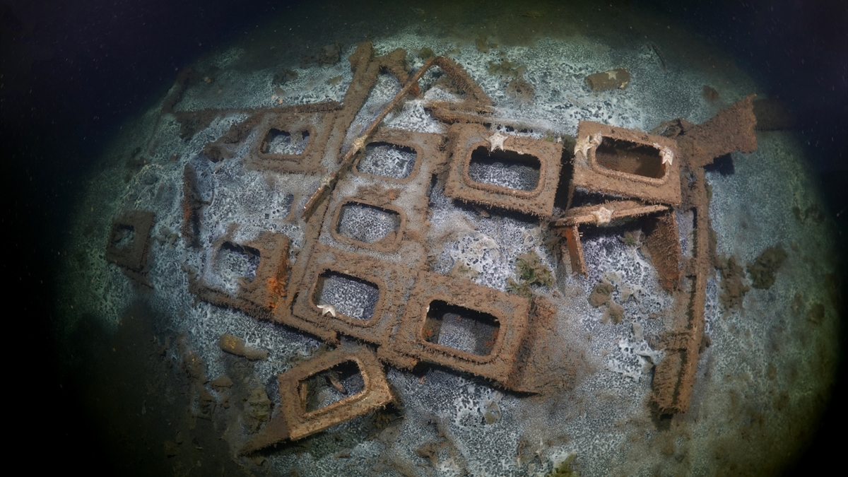 Su Altında Neler Var?