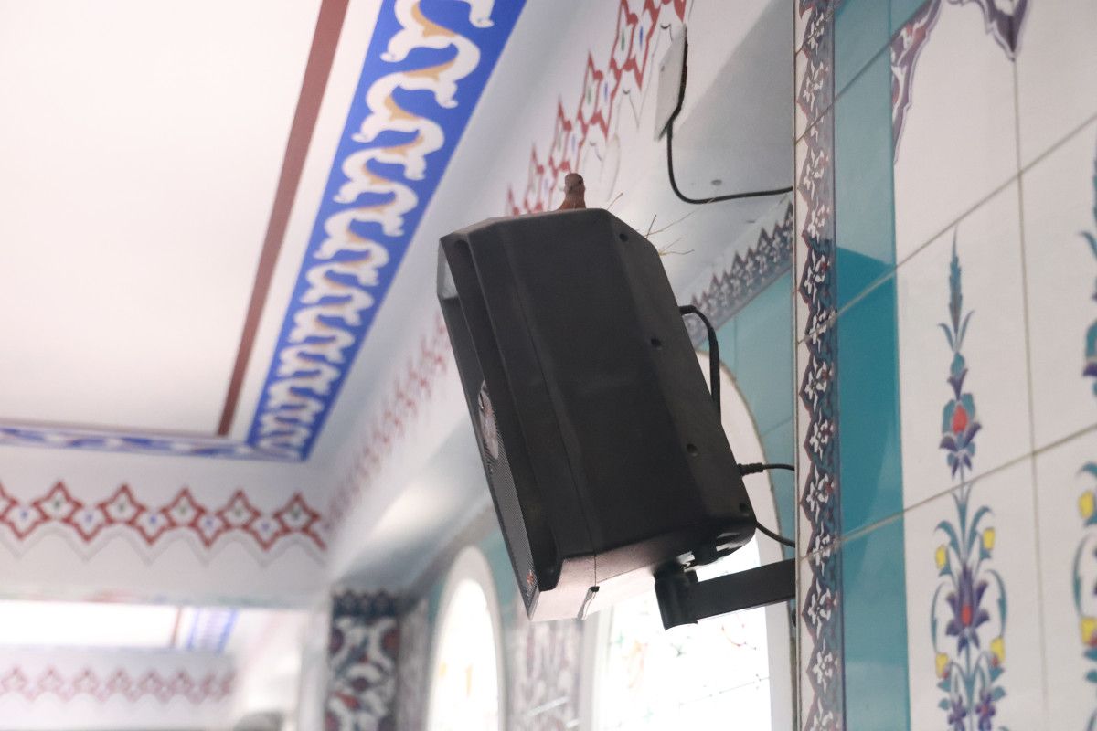 Hatay’da Camiyi Yuvalayan Kuşlar: Cemaatin Korumasında