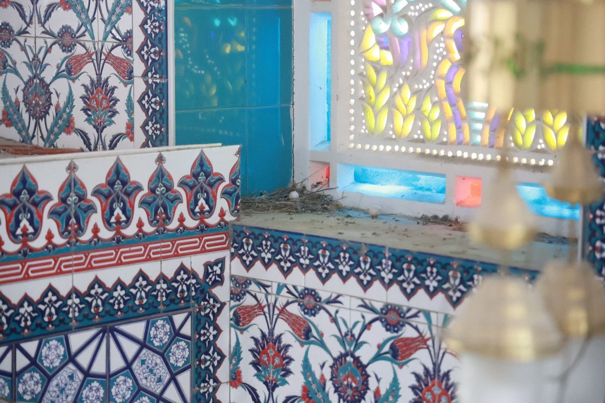 Hatay’da Camiyi Yuvalayan Kuşlar: Cemaatin Korumasında