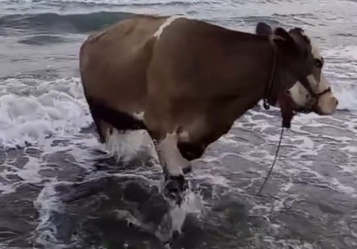 Deniz Sebili ve Güzel Anlar