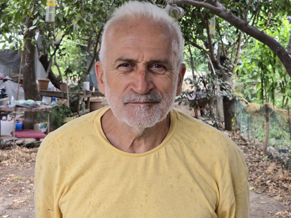 Kum Zambaklarının Özellikleri ve Önemi