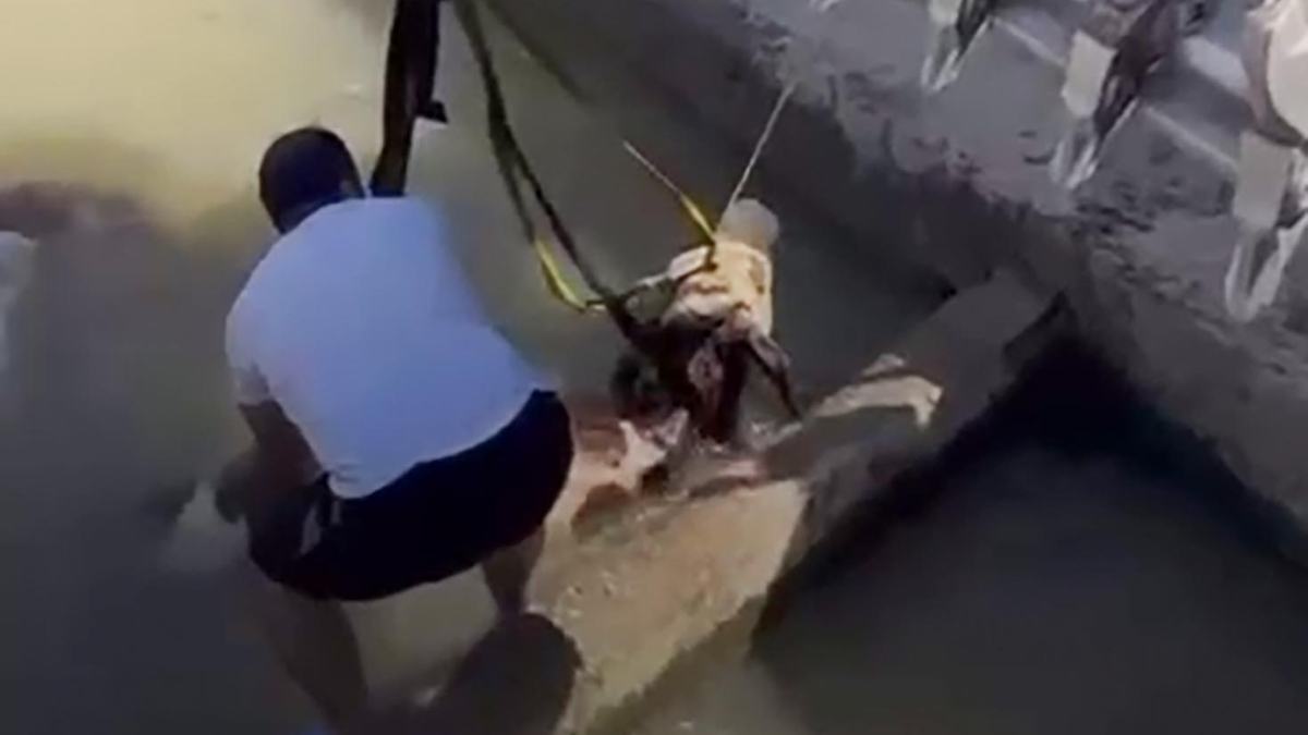 Çalışmalar ve Kurtarma İşlemi