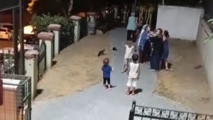 İstanbul Parkında Çocuklar Arasındaki Kavgaya Annelerin de Katılması Gündeme Oturdu