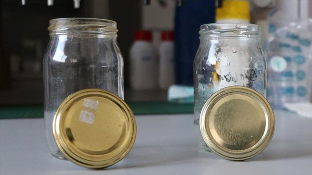 Kavanoz Kapağı Kapatma İşlemi