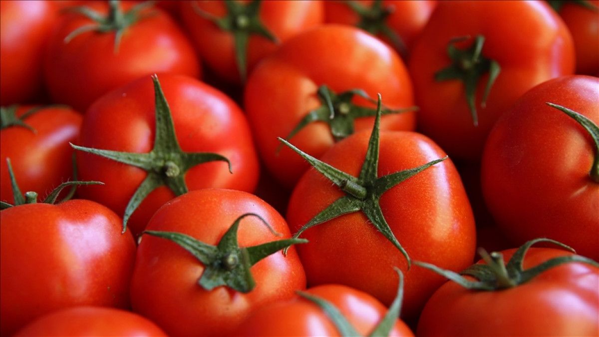 İtalyan Mutfağında Domates Sosu Hazırlama Sırları